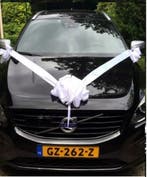 Trouwauto strik met zuignap, Catsanova, Ophalen of Verzenden, Nieuw, Accessoires