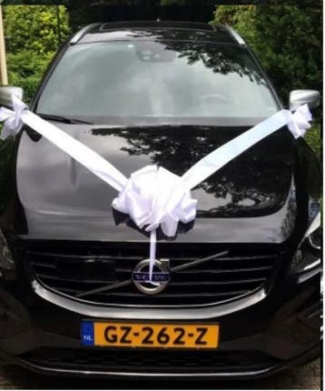 Trouwauto strik met zuignap, Catsanova, Ophalen of Verzenden, Nieuw, Accessoires
