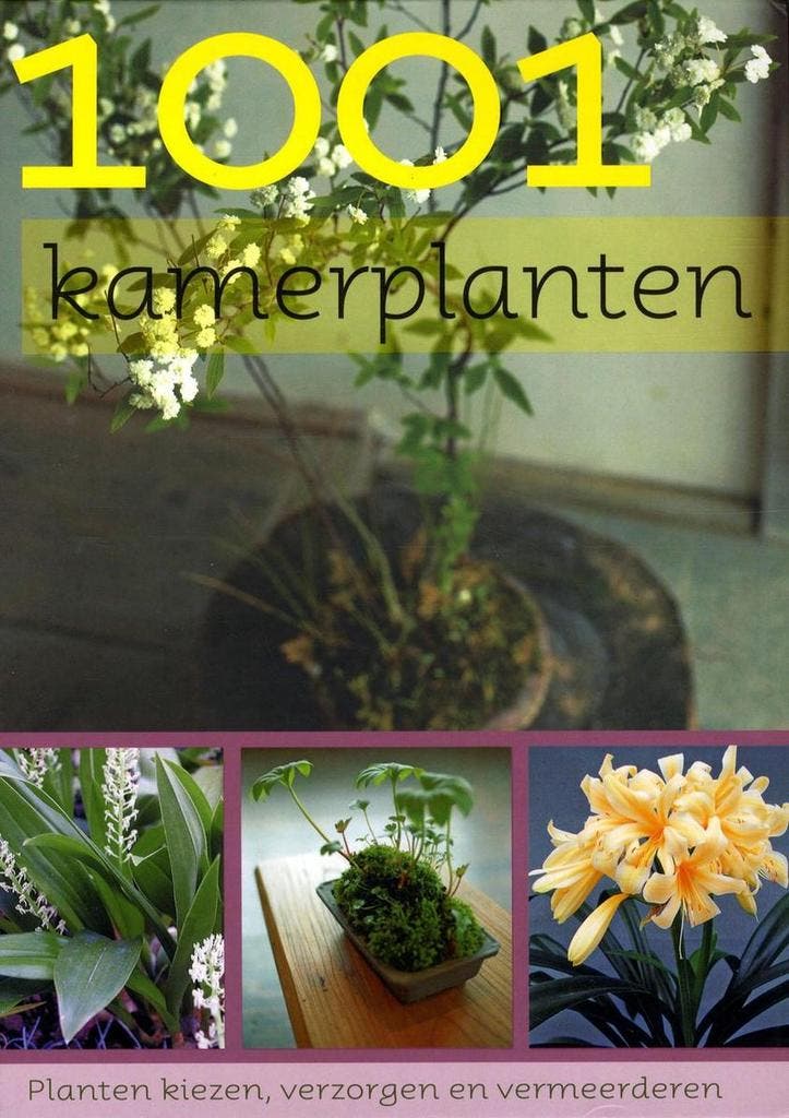 1001 kamerplanten 9781407523958, Boeken, Hobby en Vrije tijd, Zo goed als nieuw, Verzenden