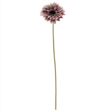 Gerbera 53 cm Mauve Zijden bloemen / st, Ophalen of Verzenden, Nieuw