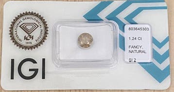 Zonder minimumprijs - 1 pcs Diamant (Natuurlijk) - 1.24 ct -, Nieuw
