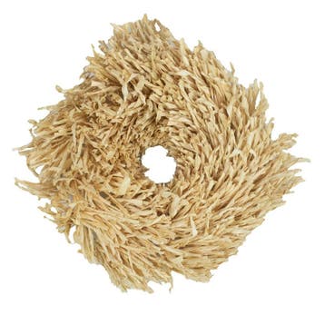 palmblad krans 35cm, Verzenden, Nieuw
