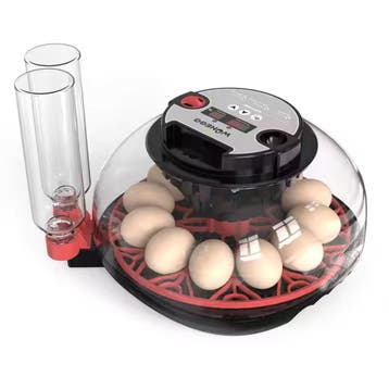 WonEGG Broedmachine M12H (12 eieren), Ophalen of Verzenden, Nieuw, Broedmachine