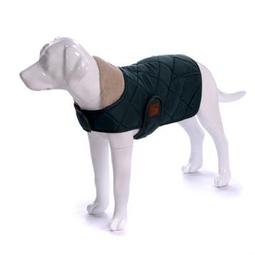 Honden Winterjas Groen Quilt (Hondenkleding), Ophalen of Verzenden, Nieuw, Hondenjas