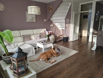Te huur: Huis Linnaeusstraat in Zaandam, Noord-Holland, Zaandam