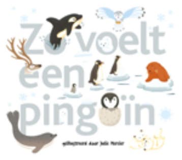 Zo voelt een pinguïn / Zo voelt 9789025751739 Julie Mercier, Boeken, Kinderboeken | Kleuters, Verzenden, Gelezen, Julie Mercier