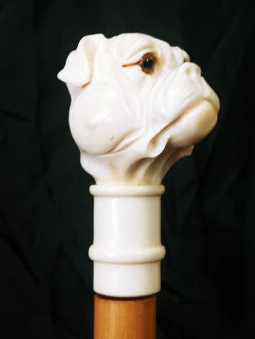 Wandelstok - Hout, celluloïde - Stok het hoofd van de hond, Antiek en Kunst