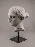 sculptuur, Testa in gesso di Venere - 25 cm - Gips, Antiek en Kunst, Antiek | Keramiek en Aardewerk