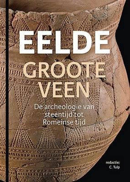 Eelde, Groote Veen 9789491431944, Boeken, Geschiedenis | Wereld, Gelezen, Verzenden