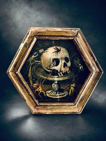 Vanité crâne aux insectes – Mémento Mori - XVIIIème (1)