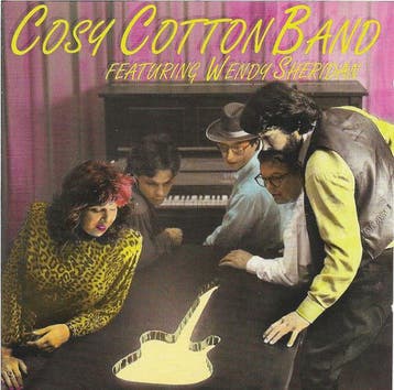 cd - Cosy Cotton Band - eaturing Wendy Sheridan â Cosy.., Verzenden, Zo goed als nieuw