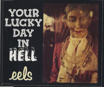 cd single - Eels - Your Lucky Day in Hell, Verzenden, Zo goed als nieuw, Pop