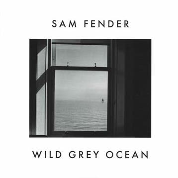 vinyl single 7 inch - Sam Fender - Wild Grey Ocean / Litt..., Verzenden, Zo goed als nieuw, 7 inch, Pop