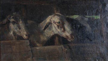 Willem Hendrik van der Nat (1864–1929) - Geiten, Antiek en Kunst, Kunst | Schilderijen | Klassiek