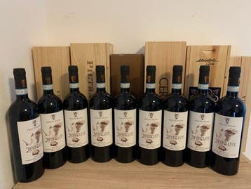 2019 Tenute Baldo Remigrante Montefalco Rosso - Umbrië, Nieuw