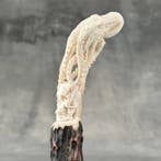 Snijwerk, NO RESERVE PRICE - Human Skull & Octopus carving