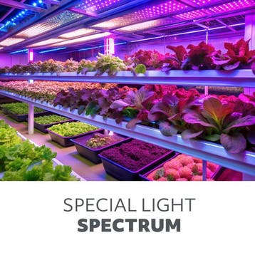 LED Kweeklamp E27 8W 1200K - Planty FGS voor groei & bloei, Ophalen of Verzenden, Nieuw