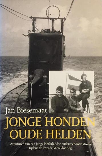 JONGE HONDEN OUDE HELDEN - J. Biesemaat 9789043902892, Verzenden, Gelezen, J. Biesemaat