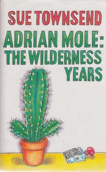 Adrian Mole - Sue Townsend - Sue Townsend 9780413650108, Verzenden, Zo goed als nieuw, Sue Townsend