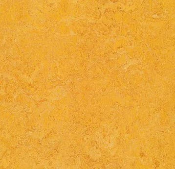 Forbo Marmoleum Authentic 3225 dandelion, Verzenden, Nieuw