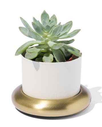 HEMA Bloempot Ø10x6.5cm metaal met schotel wit-goud, Verzenden