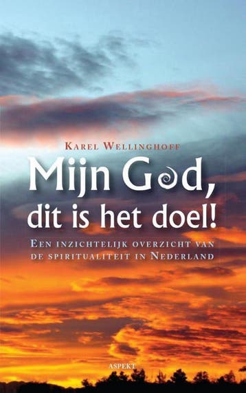 Mijn God, dit is het doel - Karel Wellinghoff 9789461536341, Verzenden, Gelezen, Karel Wellinghoff