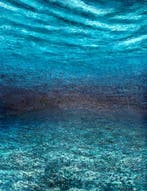 Felipe Costa - Submerged Contemplation, Antiek en Kunst