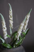 Namaak Veronica tak White crème 75 cm, Huis en Inrichting, Woonaccessoires | Kunstplanten en Kunstbloemen, Ophalen of Verzenden