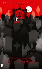 Brug der zielen / Cassidy Blake / 3 9789022599716, Verzenden, Zo goed als nieuw, V.E. Schwab