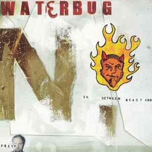 cd - Waterbug - Inbetween Beast And Freak, Verzenden, Zo goed als nieuw