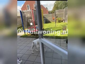 Ruil mijn huis in Wehe-den Hoorn voor jouw plek in Groningen, Groningen