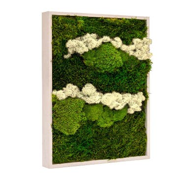 Vintlux Mosschilderij Lappenmos-Rendiermos-Bolmos Gebroken, Nieuw