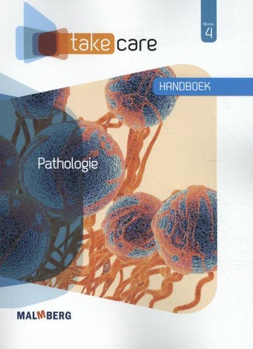 Pathologie niveau 4 / Take Care / Handboek - A. Brandsma, Verzenden, Gelezen, A. Brandsma