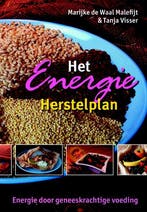 Het Energie Herstelplan | M. Waal; T. Visser | Nieuw, Ophalen of Verzenden, Nieuw, M. Waal; T. Visser