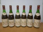 1989 x4, 1982 x2 Bodegas Torres, Viña Magdala - Penedes - 6, Nieuw