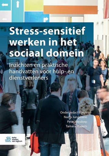 Boek Stress-sensitief werken in het sociaal domein 978903682, Verzenden, Zo goed als nieuw