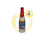 Delirium - Christmas, Verzamelen, Biermerken, Nieuw