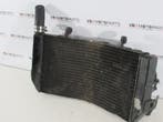 Honda CBR 600 F Radiateur radiator, Ophalen of Verzenden, Nieuw