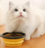 Opvouwbare Hondenkom 350 ml – Reiskom met Karabijnhaak, Verzenden, Nieuw