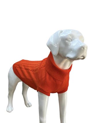 Hondentrui  Oranje Voor grote honden (Truien, Hondenkleding), Ophalen of Verzenden, Nieuw, Hondenvest
