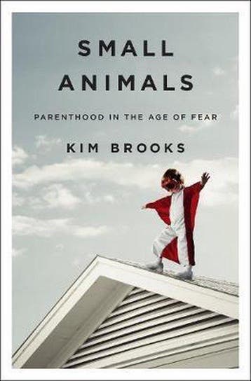 9781250089557 Small Animals Kim Brooks, Boeken, Verzenden, Nieuw, Kim Brooks