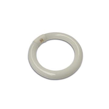 Reservelamp voor loeplamp | Toolland, Verzenden, Nieuw