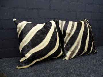 real zebra skin covers - Kussen (2), Nieuw