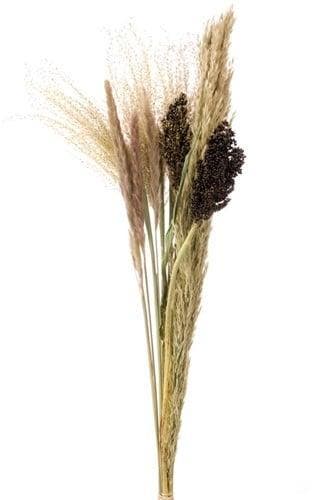 Droogbloemenboeket Grass Mix Bouquet L Natural, Huis en Inrichting, Ophalen of Verzenden, Nieuw