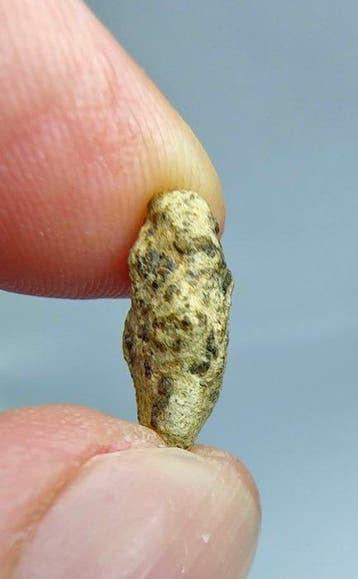 Mars-meteoriet, Tarkint 001. (olivine-phyric shergottiet). -