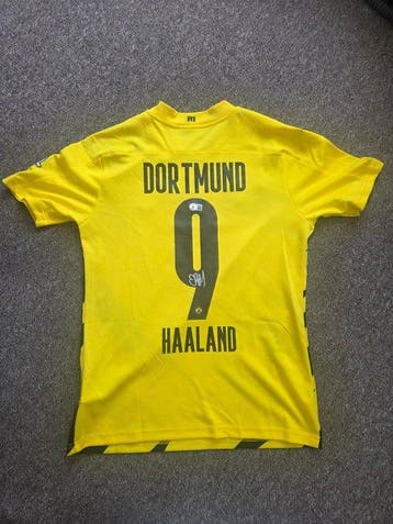 Borrusia Dortmund - Duitse voetbal competitie - Erling, Nieuw