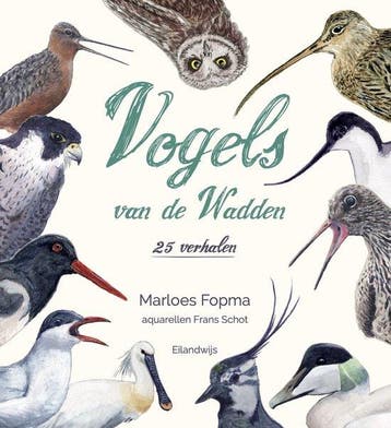 9789083162997 Vogels van de Wadden Marloes Fopma, Verzenden, Nieuw, Marloes Fopma