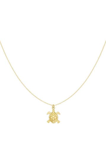 Goudlief Turtle tides ketting (Hangerkettingen, Kettingen), Sieraden, Tassen en Uiterlijk, Kettingen, Verzenden, Nieuw, Zilver