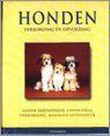 HONDEN VERZORGING OPVOEDING - KOLEKTIV 9783829032742, Boeken, Verzenden, Gelezen, KOLEKTIV