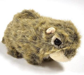 Bruine bever handpop, pluche, Verzenden, Gebruikt